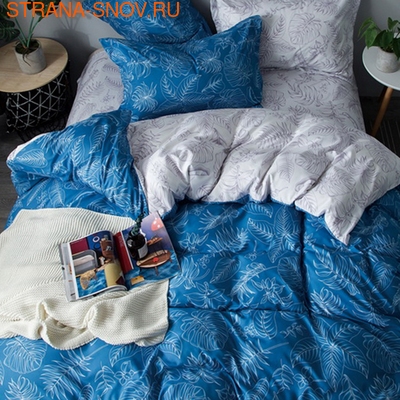 DF02-288    Tango Dream Fly 2 ()