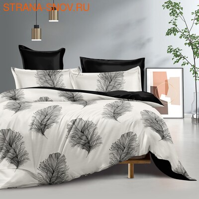 DF03-535    Tango Dream Fly  ()