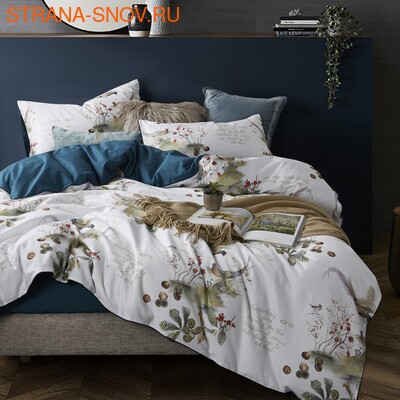 TIS04-889 Tango       1,5- ()