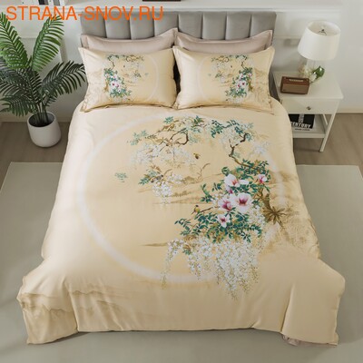 TIS04-804 Tango       1,5- ()