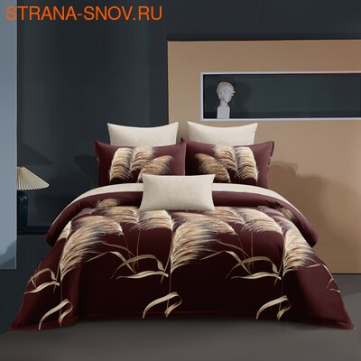 DF03-526    Tango Dream Fly  ()