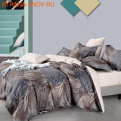 DF05-417    Tango Dream Fly  ()