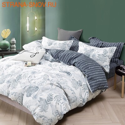 TPIG4-1815 Tango     Twill 1,5- ()