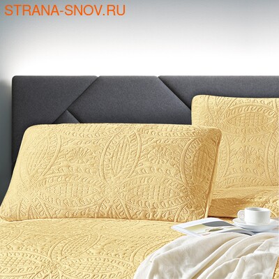 CAS5070-62    Tango Casablanca 5070