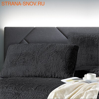 CAS5070-56    Tango Casablanca 5070