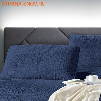 CAS5070-61    Tango Casablanca 5070
