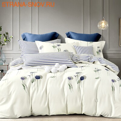 TPIG4-1037 Tango     Twill 1,5- ()