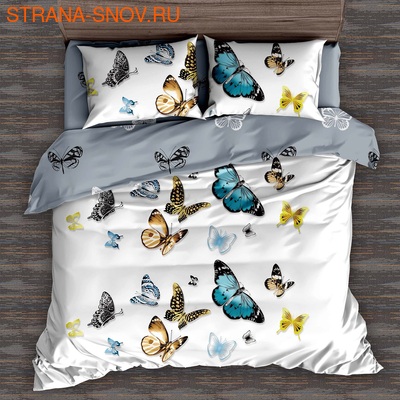 DF02-335    Tango Dream Fly 2