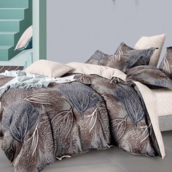 DF01-417    Tango Dream Fly 1,5-