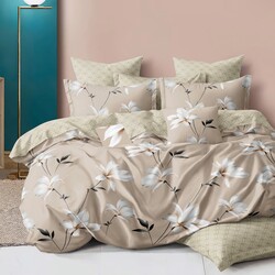 DF01-525    Tango Dream Fly 1,5-