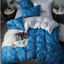 DF01-310    Tango Dream Fly 1,5-
