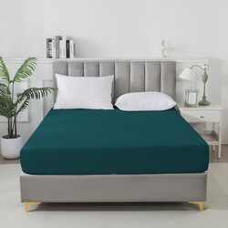 BS1620-281     Tango SOHO 160x20030