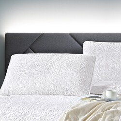 CAS5070-50    Tango Casablanca 5070