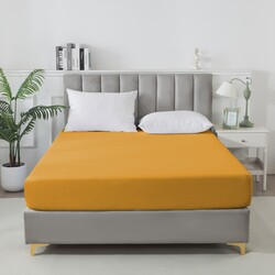 BS1620-23     Tango SOHO 160x20030