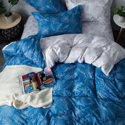 DF02-288    Tango Dream Fly 2