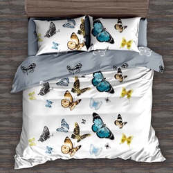 DF02-335    Tango Dream Fly 2